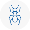 Ant Removals In Shaw