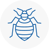 Bed Bug Extermination In Shaw