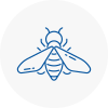 Bee Nest Removal Shaw