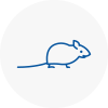 Mice Exterminators In Shaw