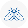 Moth Control Specialists In Shaw