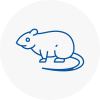 Rat Control Shaw