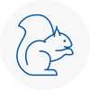 Shaw Rodent Removals