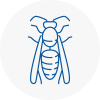 Shaw Wasp Nest Removal